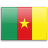 Image du drapeau national Camerounais